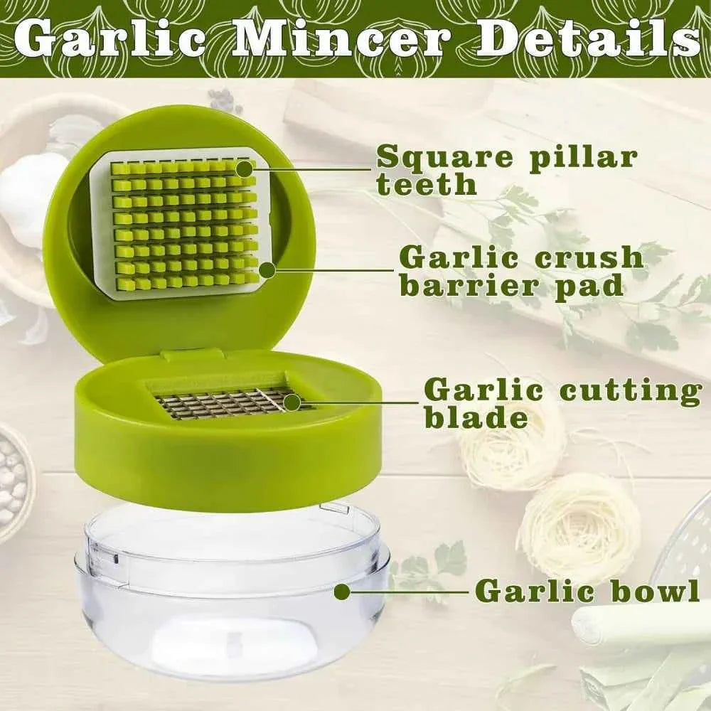 1pc Multifunctional Garlic Press Manual Mincer， ABS and Stainless Steel Garlic Slicer Handheld Ginger Masher with Storage Case